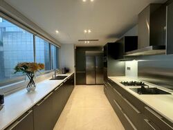 Tanglin Road (D10), Condominium #513811361